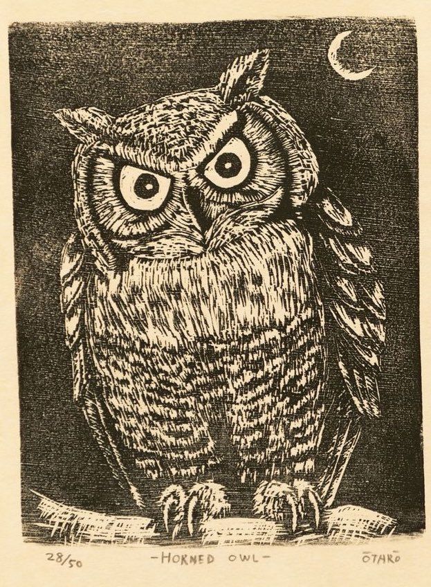 Horned owl, looking cross, crescent moon in background, illustration.