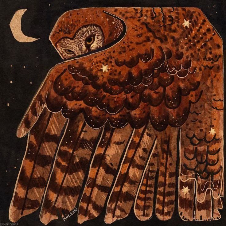 Barn owl in flight across starry
Night Sky and crescent moon, looking at the viewer over one wing, painting.