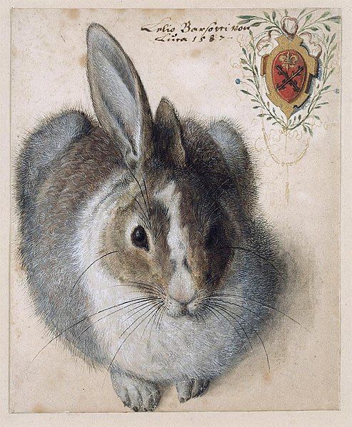 Rabbit crouching, grey and white, coat of arms in top right corner. Painting.