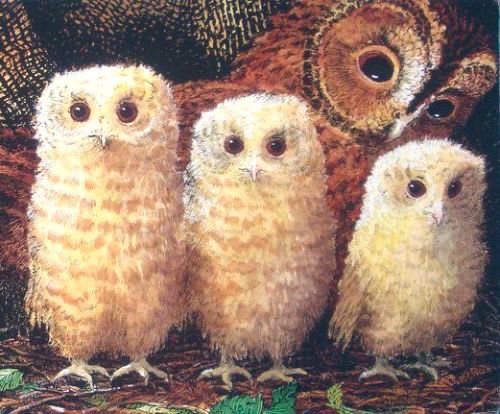 Three white floofy baby owls perched with their mother looking over them from behind. Illustration. 