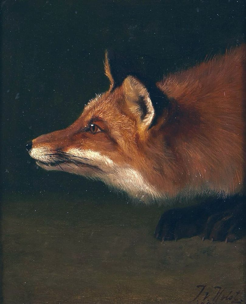 Painting of fox’s head looking upwards curiously…