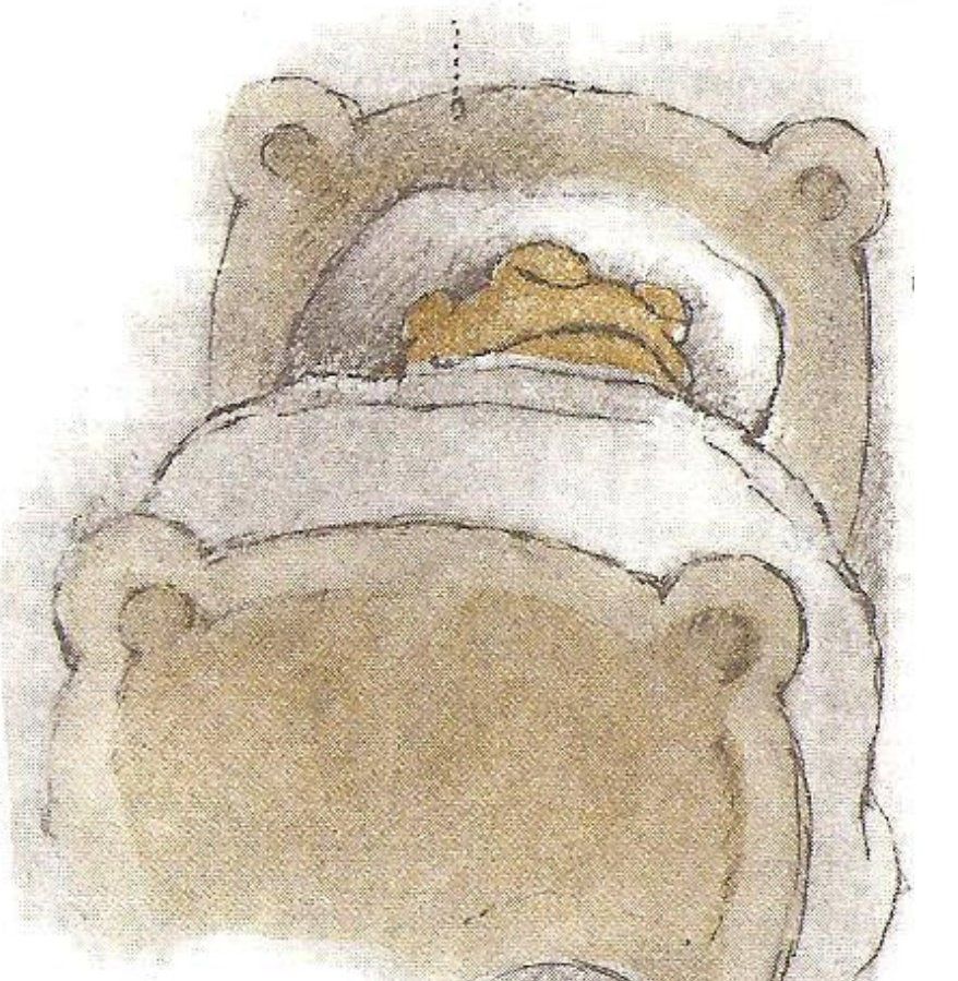 Illustration of Toad tucked up and asleep in bed.