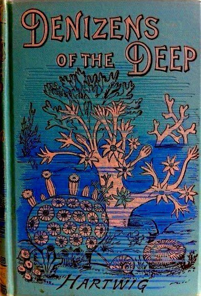 DENIZENS
OF THE
ĐEEP
HARTWIG
Turquoise cover, underwater coral reef scene as central decoration.