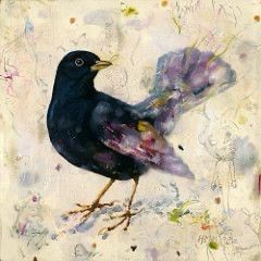 Blackbird illustration.