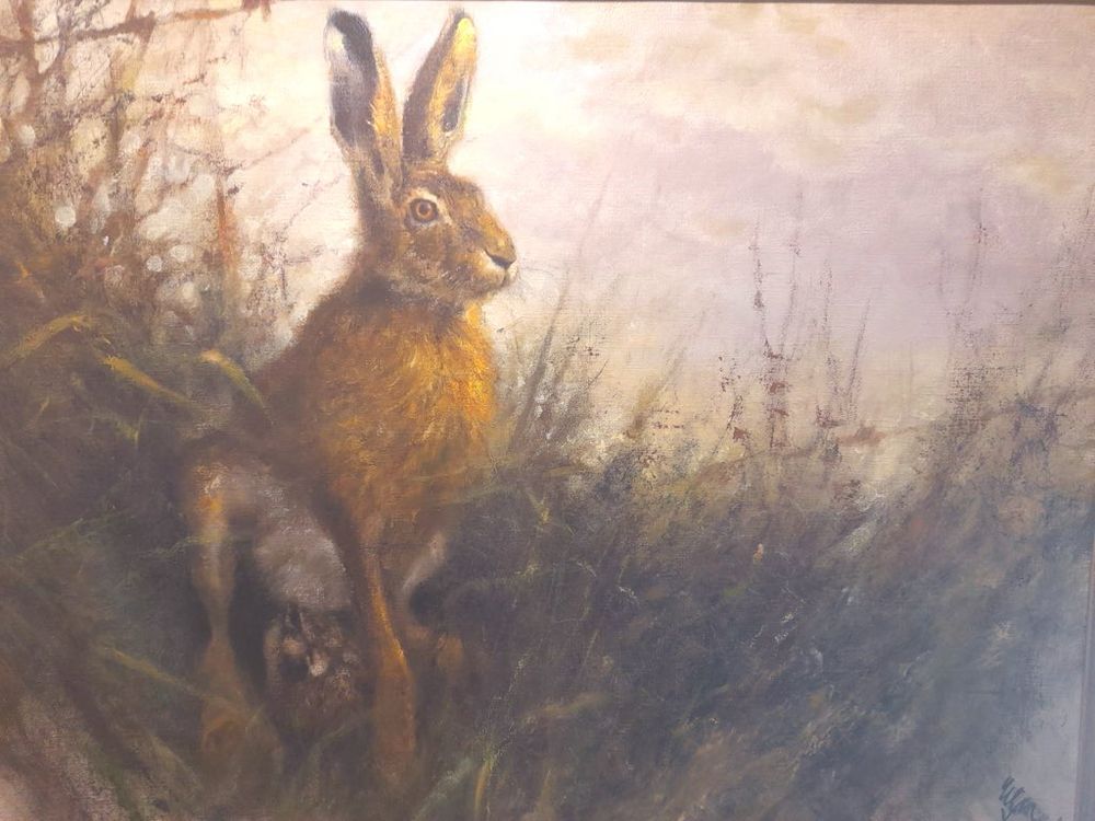 Hare in meadow in morning light. Painting. 