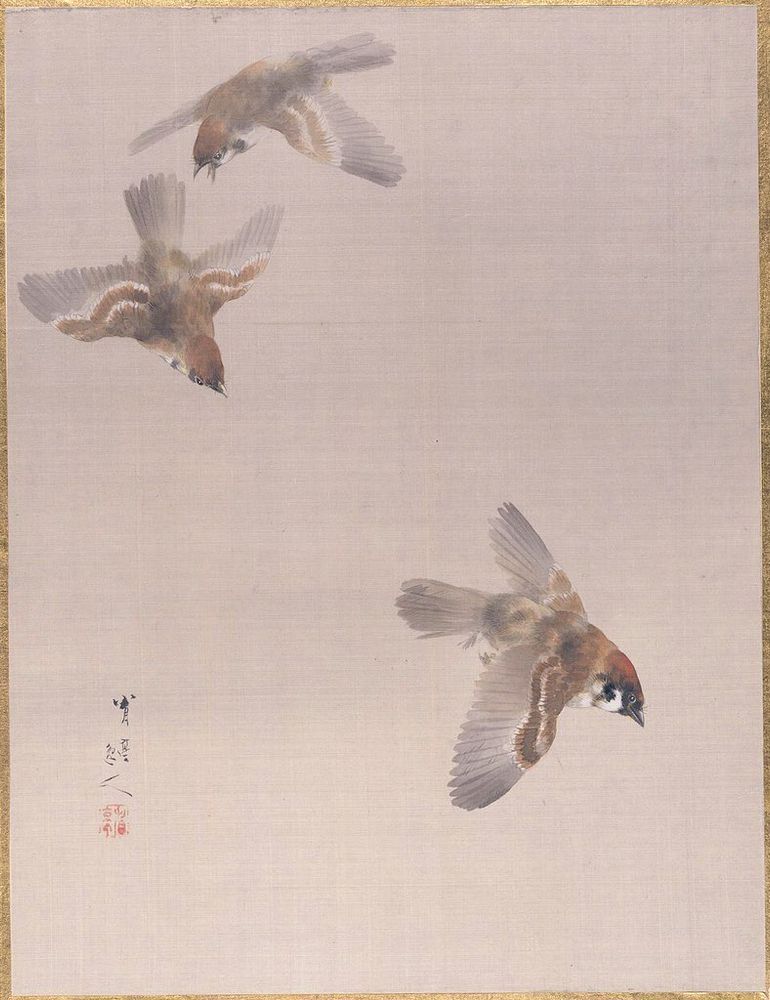 Three sparrows in flight.
