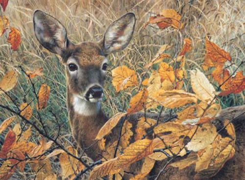 Deer amongst autumn leaves, painting.