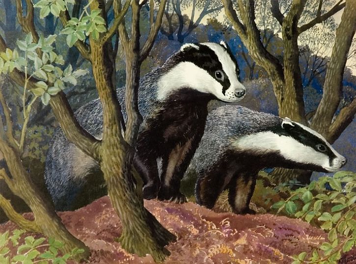 Two badgers in wood, painting.