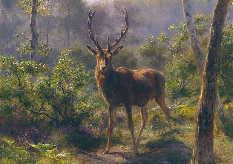 Painting of stag in sunlit woodland setting.