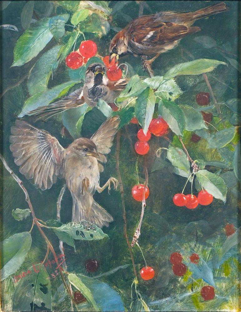 Painting as described, three sparrows eating cherries in a tree. 