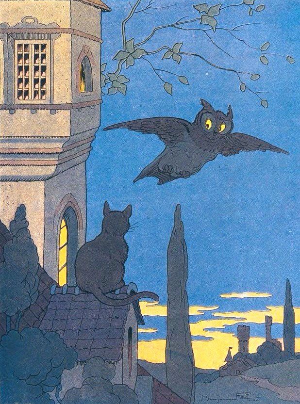 Owl in flight beside and over buildings, silhouette of cat sat on roof, evening, last of daylight on horizon, over hang of tree at top of illustration. 