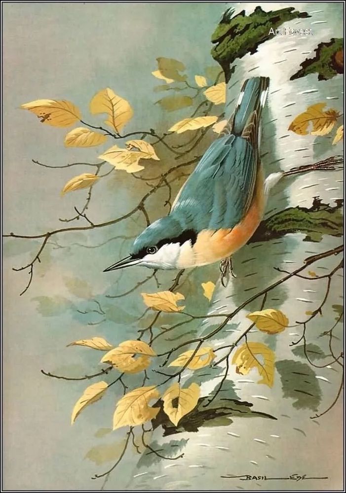 Nuthatch perched in tree with autumn leaves, painting.