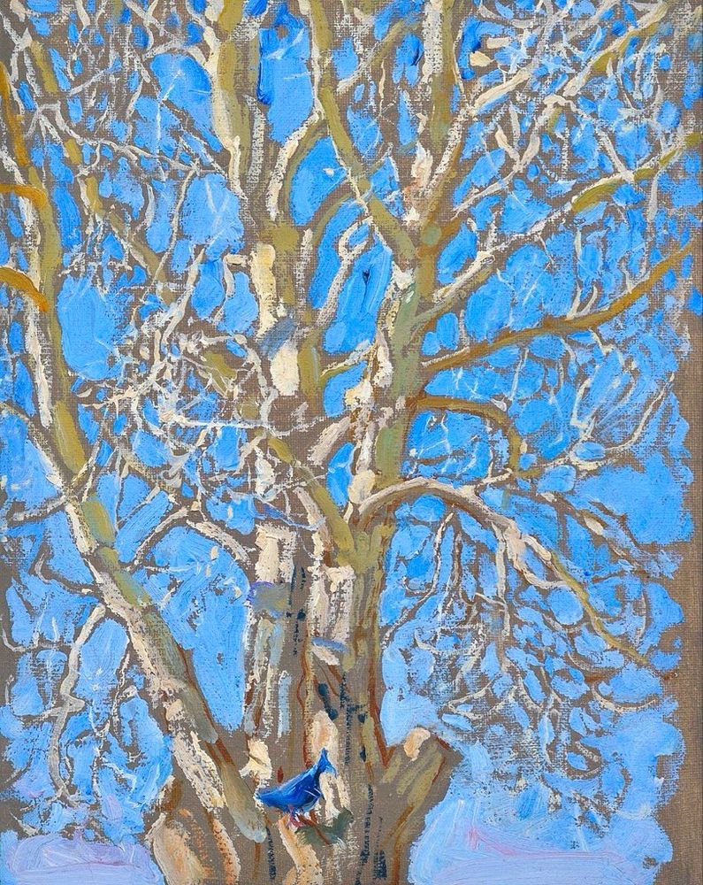 Blue bird perched in crack willow tree, painting. 