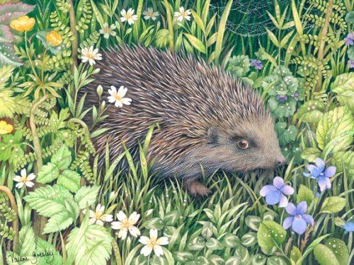 Painting of hedgehog in grass with purple m, yellow and white flowers, daisies and buttercups, fern.