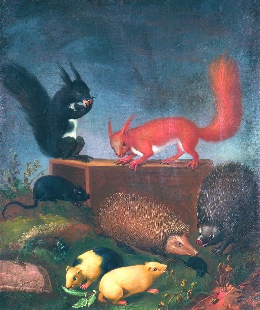 A selection of animals: hedgehogs, hamsters, rats, red and black squirrels depicted in a grassy scene.