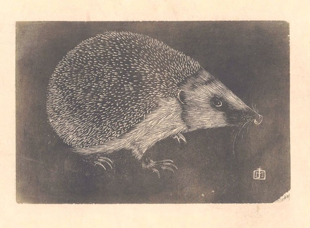 Hedgehog painting on dark background.