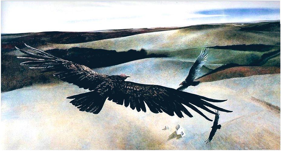 Crow in flight over fields, seen from above the crow as a crow’s view in flight, painting. 