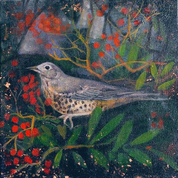Thrush is bush of red berries, painting.