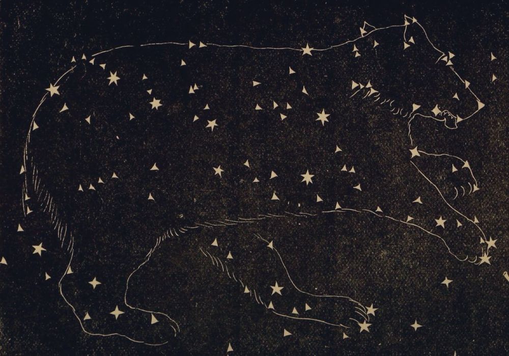 Drawing of constellation with bear. Stars. Night sky.