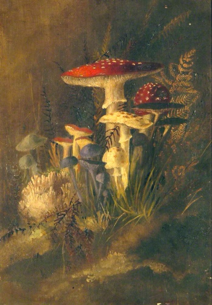 Painting of a range of fungi in a woodland scene.