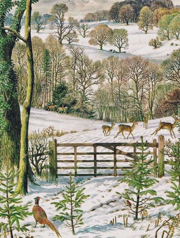 Illustration of winter snow scene, pheasant and baby firs in foreground, beyond a wooden gate are deer running in a field, rolling hills and trees in distance.