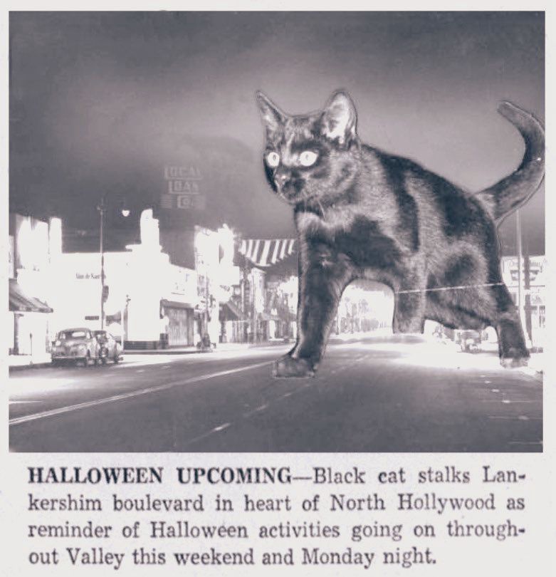 Halloween upcoming - Black vat stalks Lankershim boulevard in the heart of North Hollywood as reminder of Halloween activities going on throughout this weekend and Monday night. 
Newspaper clipping. Photo above text of giant black cat in the street. 