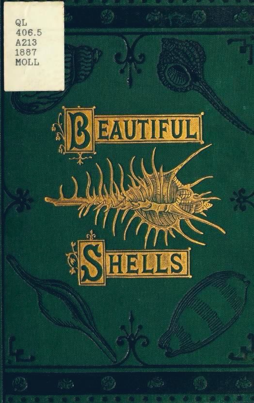 BEAUTIFUL
SHELLS
Green cover, gold lettering, hold design of shell in centre, black design of shells and border around this.