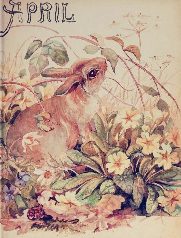 April, Rabbit nibbling amongst flowers and foliage, illustration.