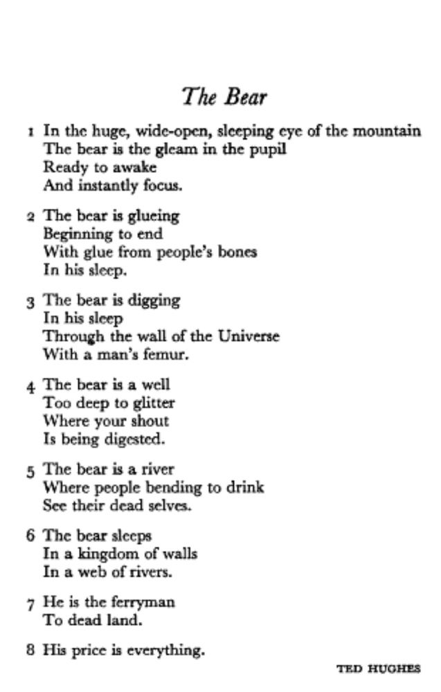 The Bear
1 In the huge, wide-open, sleeping eye of the mountain
The Bear is a the gleam in the pupil 
Ready to awake
And instantly focus.
2 The bear is glueing
Beginning to end 
With glue from
people's bones
In his sleep.
3 The bear is digging
In his sleep
Through the wall of the Universe
With a man's femur.
4 The bear is a well 
Too deep to glitter
Where your shout 
Is being digested.
5 The bear is a river
Where people bending to drink
See their dead selves.
6 The bear sleeps
In a kingdom of walls 
In a web of rivers.
7 He is the ferryman
To dead land.
8 His price is everything.
TED HUGHES