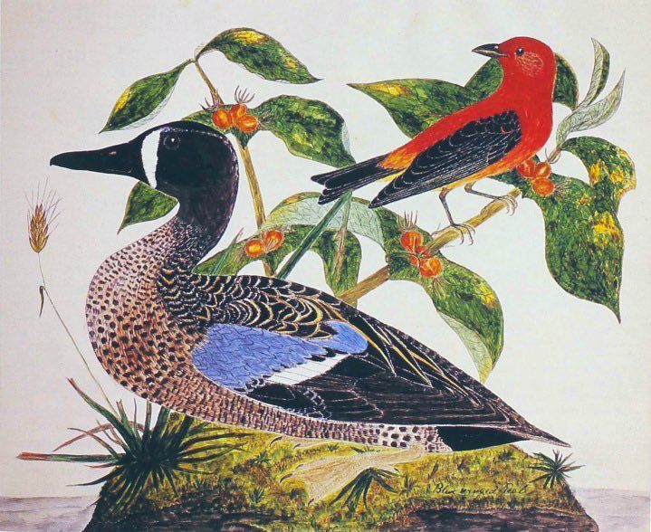 As described. The teal is perched on a rounded stone and the tanager is perched on a branch with red berries.