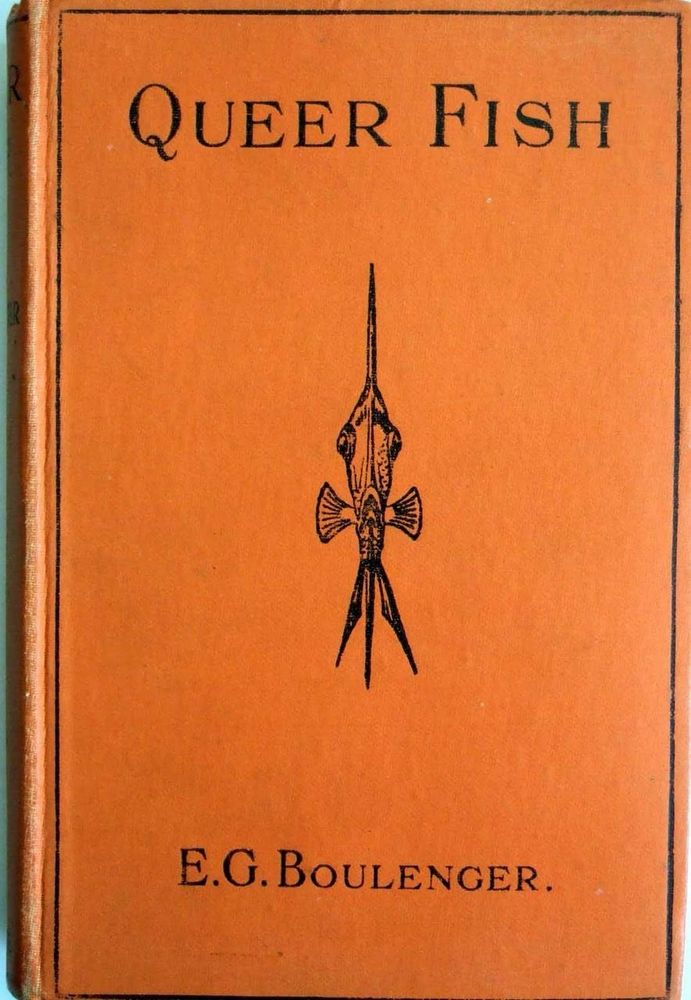 QUEER FISH
E.G. BOULENGER.
Orange cover, black lettering, black decoration of fish in centre of cover.