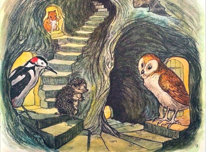 Illustration from Molly Brett's children's book, "The Untidy Little Hedgehog," depicting a whimsical scene inside a tree or burrow. It features several woodland creatures interacting within a system of tunnels and staircases carved into the earth or a tree trunk. 
A woodpecker stands on a step, looking towards a small hedgehog on the steps below. The hedgehog faces the woodpecker, appearing engaged in conversation or observation.
A winding staircase ascends into the upper part of the burrow, where a small, mouse-like creature peeks out from an opening.
A barn owl sits on a ledge or step, looking towards the center of the illustration. Above the owl, a bat hangs upside down from the ceiling of the burrow.