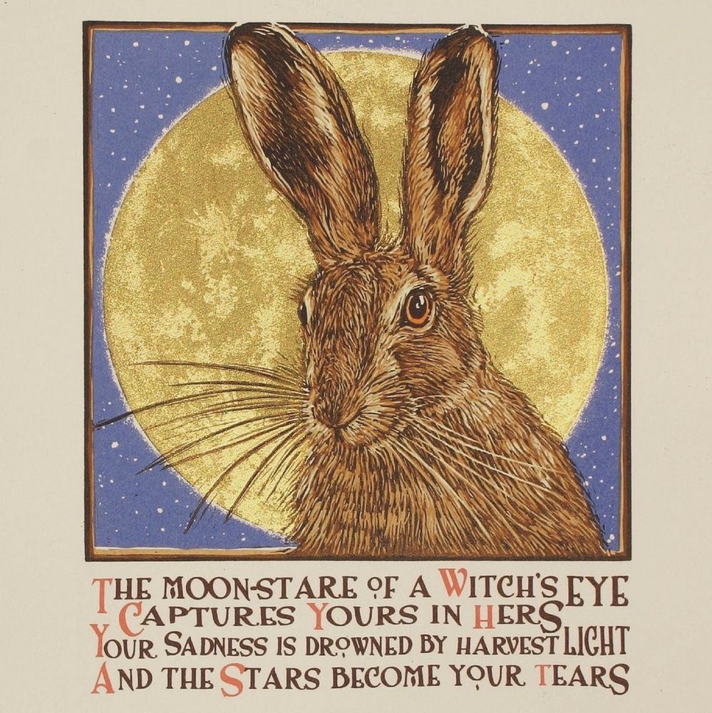 THE MOON-STARE OF A WITCH'S EYE CAPTURES YOURS IN HERS
YOUR SADNESS IS DROWNED BY HARVEST LICHT AND THE STARS BECOME YOUR TEARS
Hare in front of full moon with starry night sky behind, illustration.