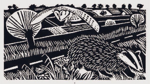 a linocut print depicting a nocturnal scene in a rural landscape, featuring a badger and an owl