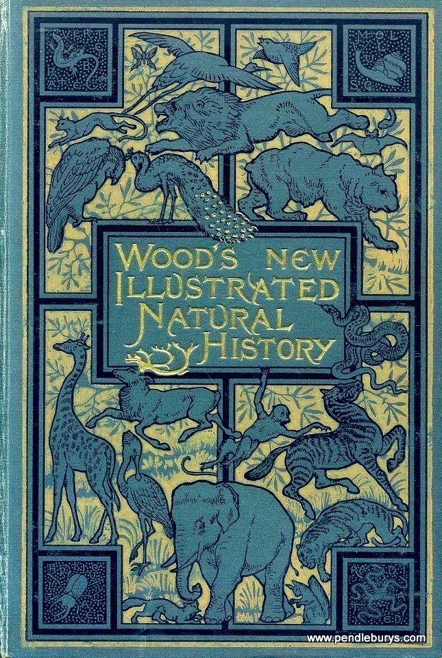 Green grey cover, gold lettering and inlay. WOOD'S NEW ILLUSTRATED NATURAL HISTORY
Decorated with elephant, giraffe, lion, peacock, monkey and other animals, birds.