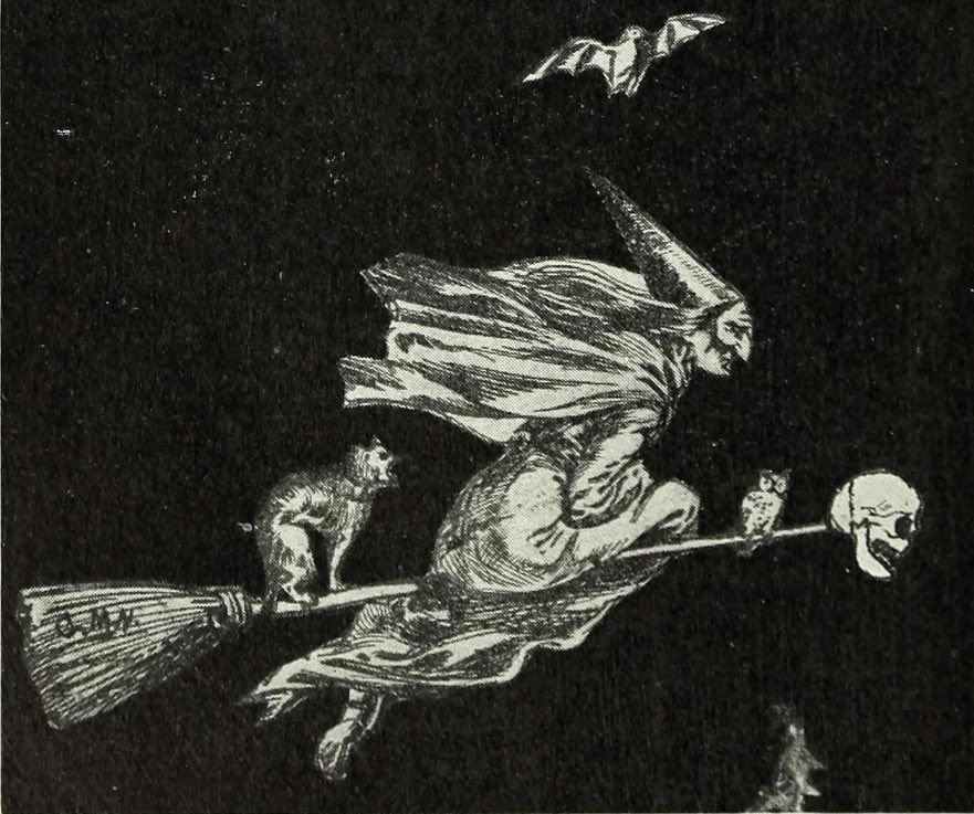 An illustration of a witch flying on a broomstick. The witch is depicted with a pointed hat and a flowing robe. She is accompanied by a black cat and an owl, who are also perched on the broomstick. A skull is attached to the end of the broomstick, and a bat is shown flying above her.