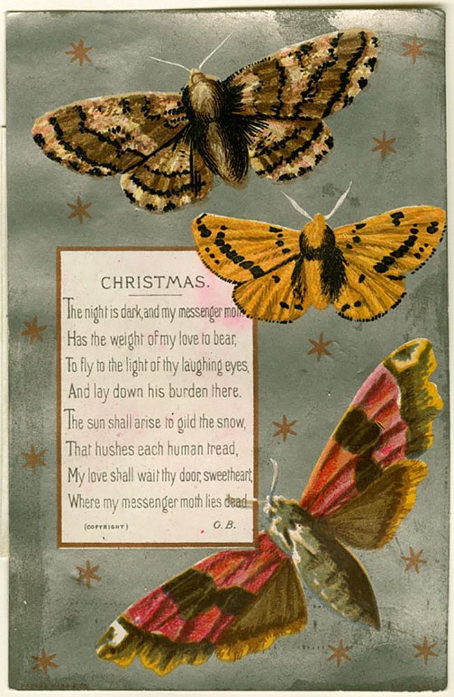 CHRISTMAS.
‘The night is dark and my messenger moth Has the weight ofmy love to bear, To fly to the light of thy laughing eyes, And lay down his burden there.
The sun shall arise to gild the snow, That hushes each human tread, My love shall wait thy door, sweetheart, Where my messenger moth lies dead.’
(COPYRIGHT)
G. B.
Vintage Christmas card with moths and poem.