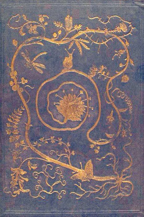 Les Fleurs Animées, 1947.
J.J. Grandville & Geoffroy Charles.
Blue cover, gold decoration, trailing foliage, fern, flowers, butterfly, snail. 