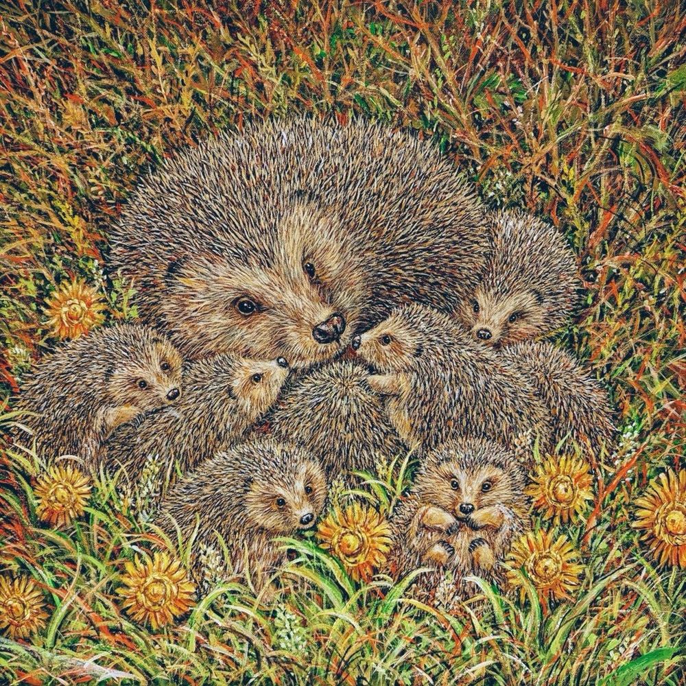 Mummy hedgehog with eight babies clustered around her amongst the dandelions, painting.