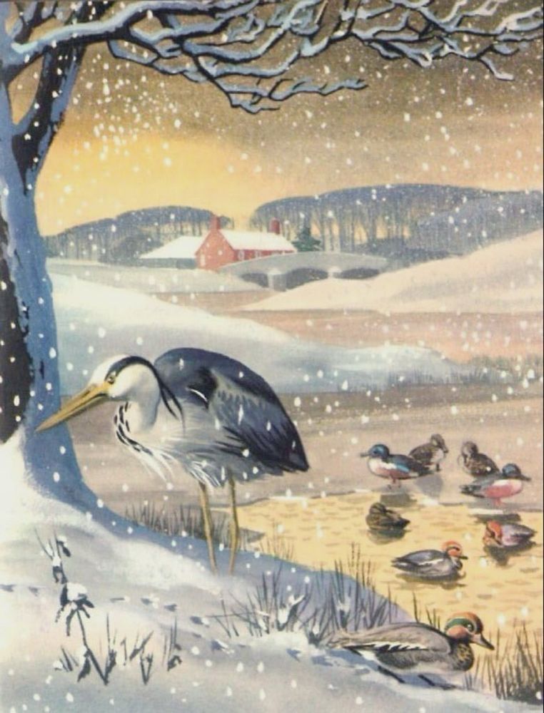A heron and other water birds in the snow, they’re on a lake, a village in the distance painting.