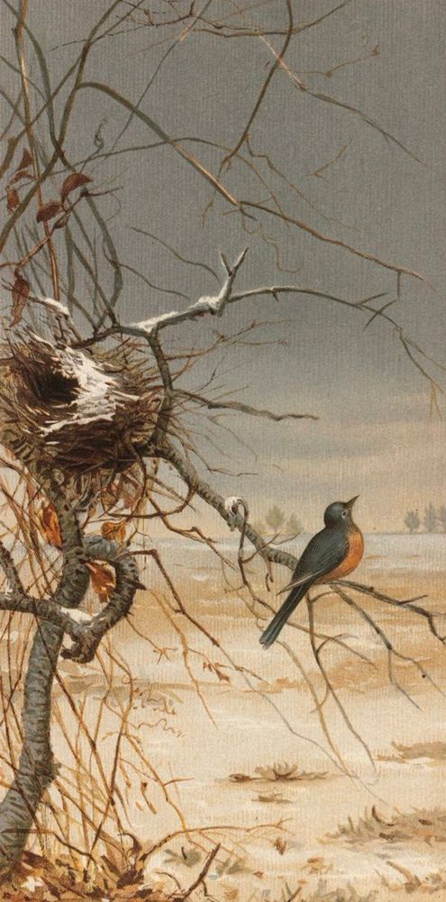 Robin on bare branch with empty nest looks out over snowy, barren landscape with grey and misty sky. Painting.