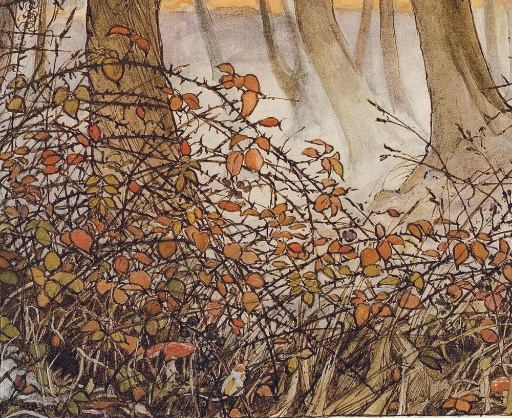Illustration of a dense tangle of thorny brambles with autumn-colored leaves in shades of orange, gold, and green. Tall grasses and other ground cover fill the forest floor. A small red mushroom and a tiny white mouse are visible near the bottom centre.
The background features several large tree trunks that recede into a soft, misty background,
