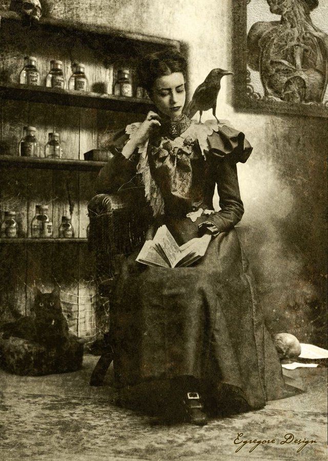 Vintage style photo of gothic dressed woman sat with book with crow on shoulder and black cat on cushion beside her. 
