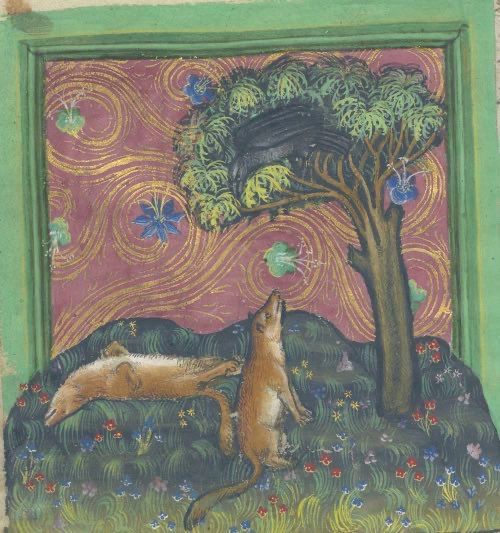 The fox plays dead to catch the raven. The raven takes a look, but senses the fox’s cunning. The raven notices that the fox’s heart is beating and drops a stone on his head. The fox drops his act. 