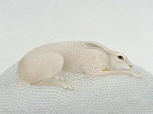 Painting of a white hare lying down on a white hill against a white background. Looking rather as I feel.