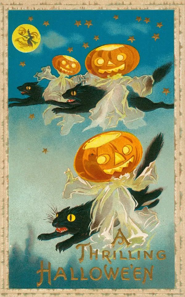 Three black cats in flight being ridden by pumpkin headed ghosts under a full moon in a gold-starred night sky, the full moon has a witch on a broom flying across it, vintage Halloween postcard.