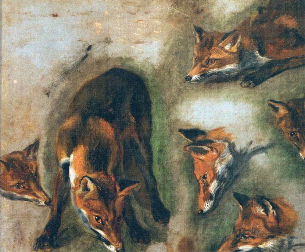 Fox in different poses and at range of angles, painting. 