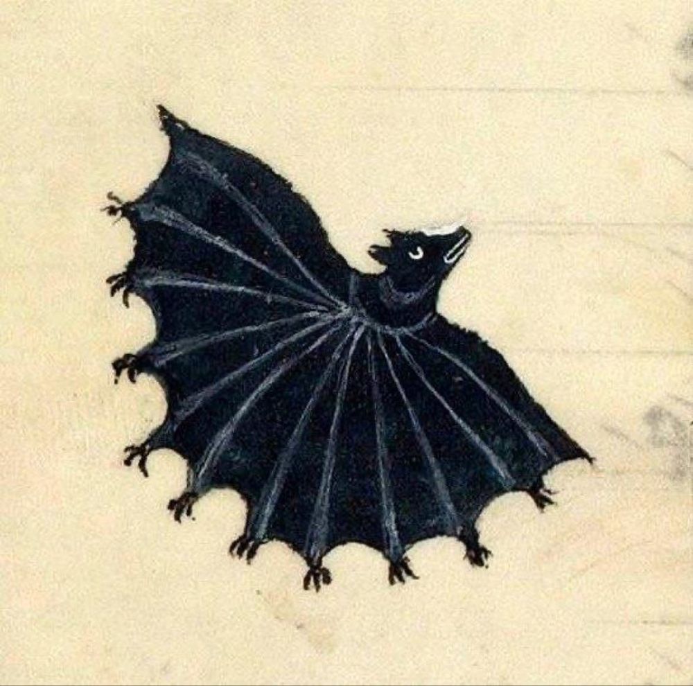 Marginalia of black bat with giant fan like wing.