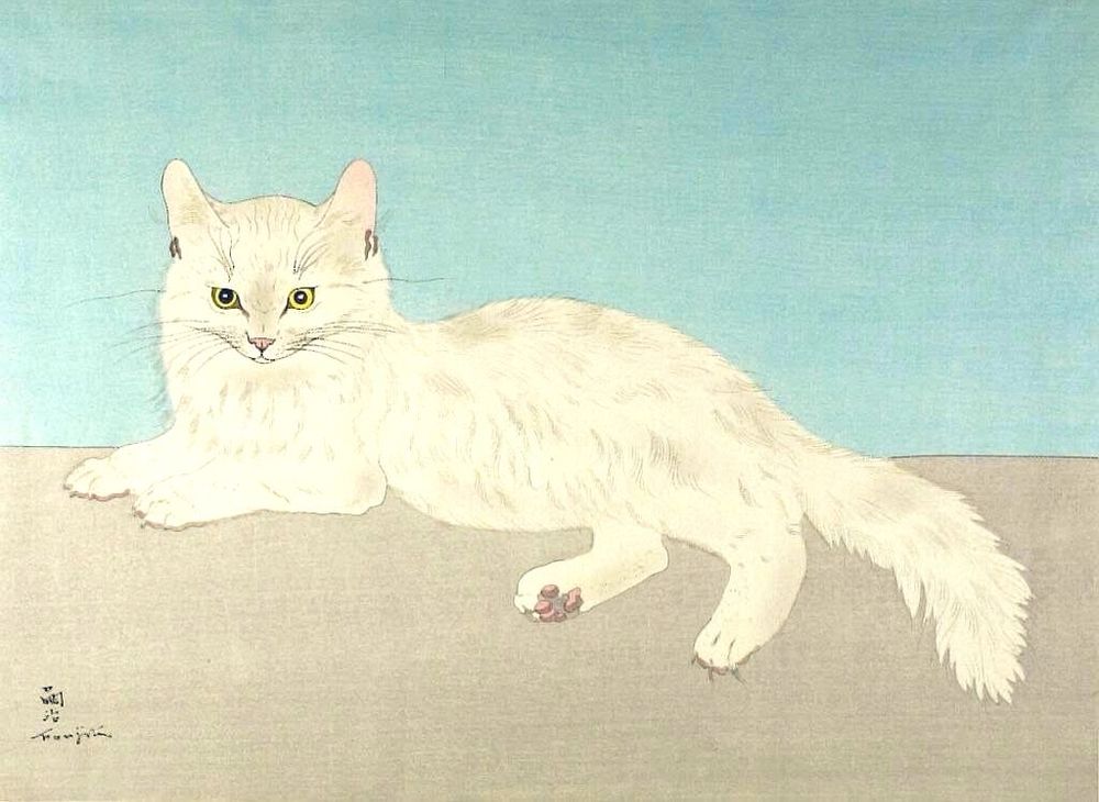 White Persian cat on cream and pale blue background.