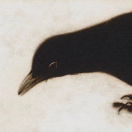 Painting of head and feet of blackbird.
